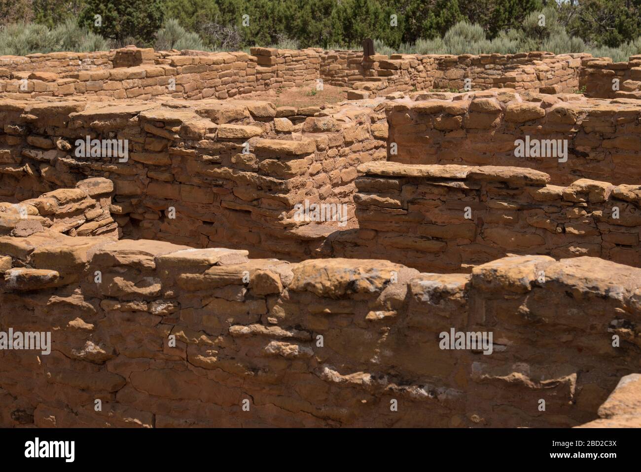 Detail of the Pipe Shrine House in Mesa Verde National Park, Colorado, USA Stock Photo