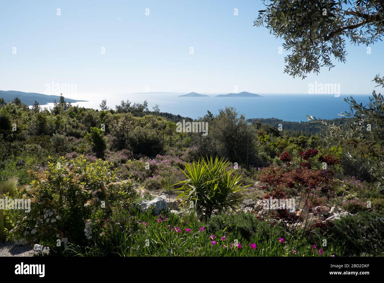 Looking out to the Two Brothers islands from the exotic gardens at Infinity 180 Luxury Suites on the Greek Sporadic island of Alonissos Stock Photo