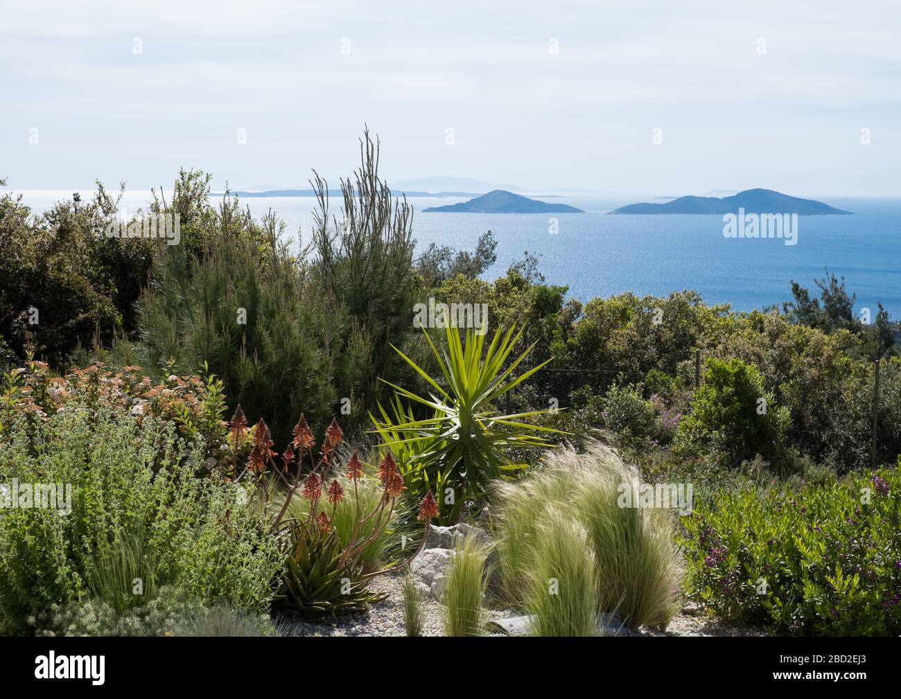 View across the gardens of Infinity 180 Luxury Suites on Alonissos, in Greece's North Sporades, looking out at the Two Brothers islands Stock Photo