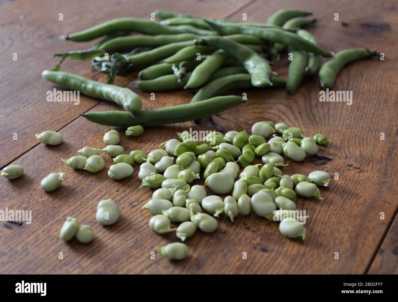 Broad beans, grown on the island of St Agnes, Scilly Stock Photo