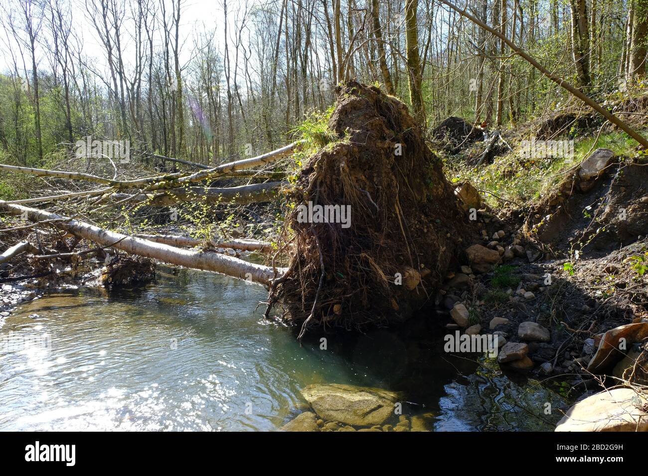 River Bank Raining River bank erosion from rivers after they have been flooded by lots of ...