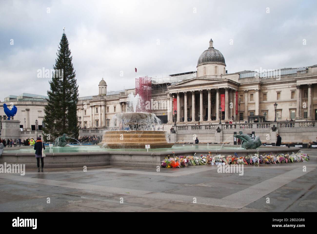 Christmas Tree 2013 in Trafalgar Square, Charing Cross, London WC2N 5DN Stock Photo