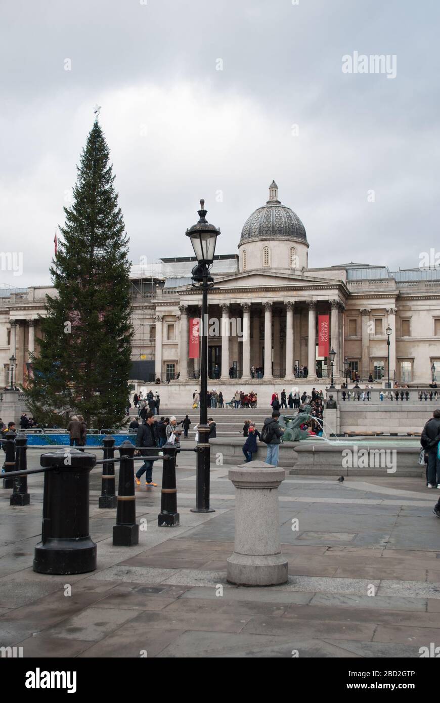 Christmas Tree 2013 in Trafalgar Square, Charing Cross, London WC2N 5DN Stock Photo