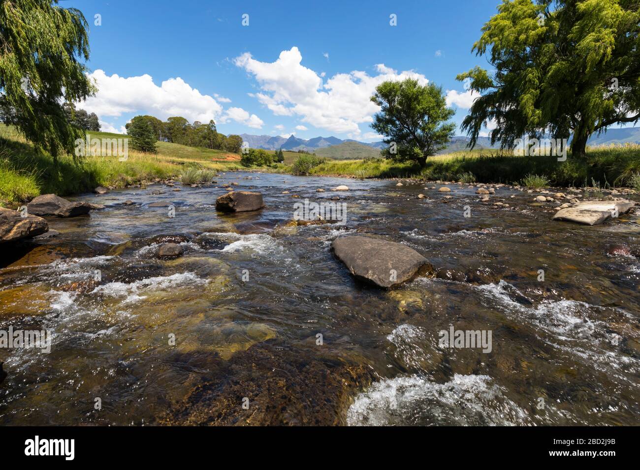 Fresh mountain water in a stream Stock Photo Alamy