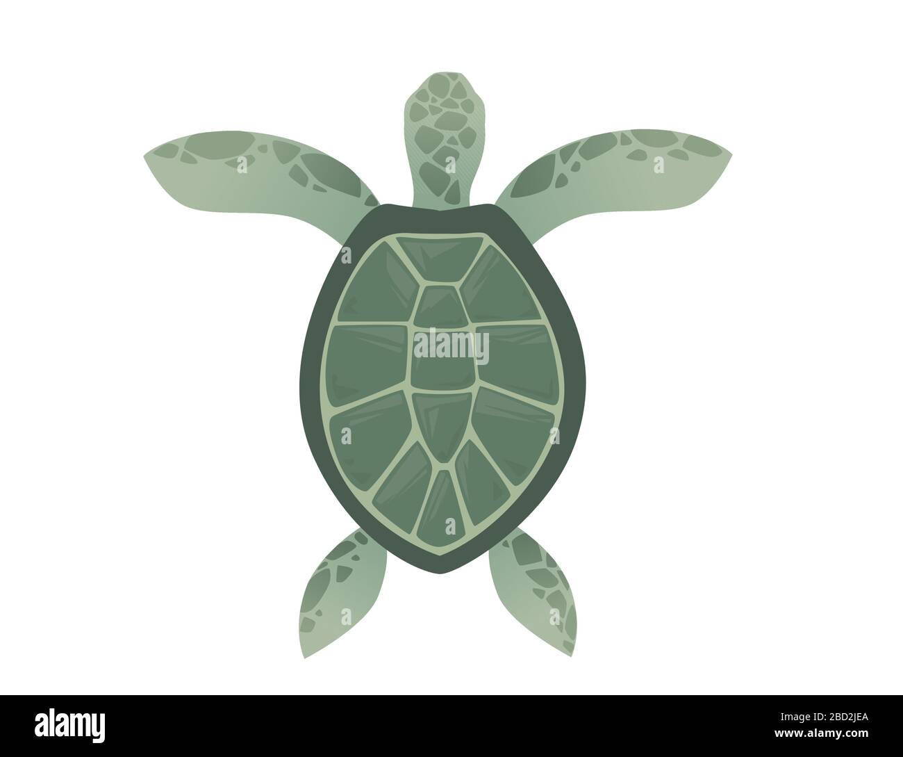 Big green sea turtle cartoon cute animal design ocean tortoise swimming in  water flat vector illustration isolated on white background Stock Vector  Image & Art - Alamy
