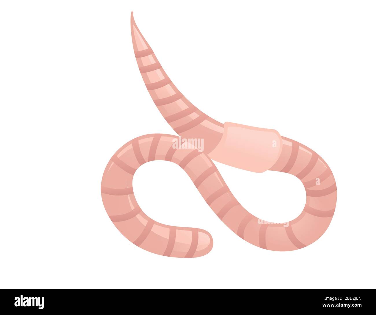 Earthworm crawling cartoon worm design flat vector illustration isolated on white background Stock Vector