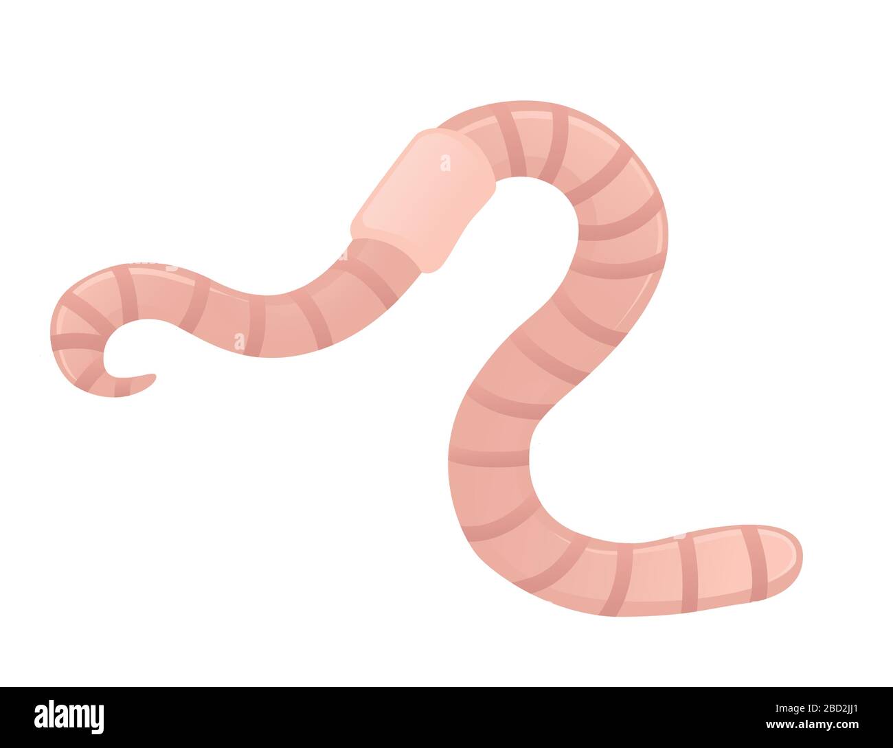 Earthworm crawling cartoon worm design flat vector illustration isolated on white background Stock Vector