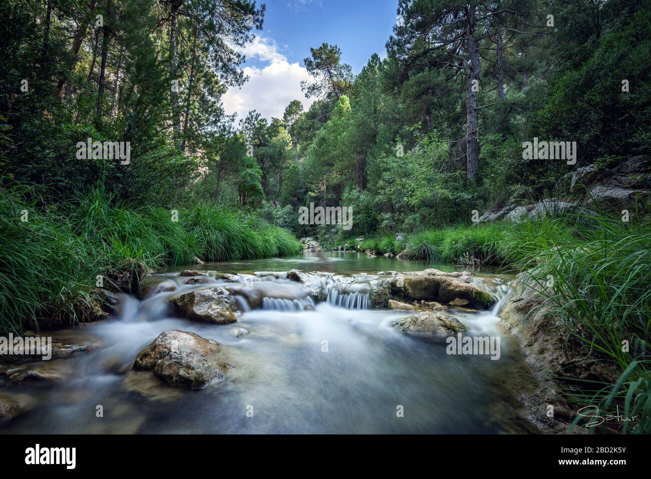 Beautiful river surrounded by green vegetation and a blue sky in the background Stock Photo