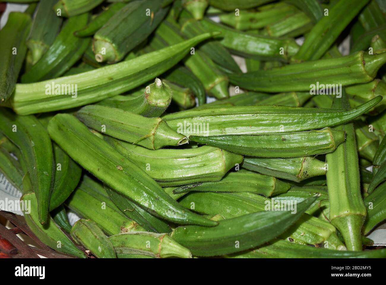 Okra seed pods hires stock photography and images Alamy
