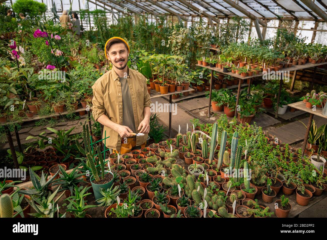 Portrait of happy handsome young man in cap using small trowel while working with cactus plants in spacious greenhouse Stock Photo