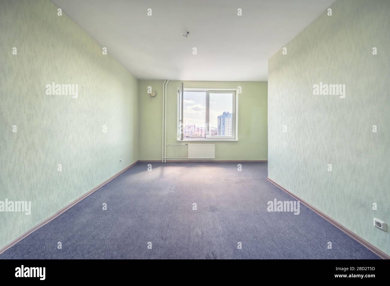 house carpet for sale