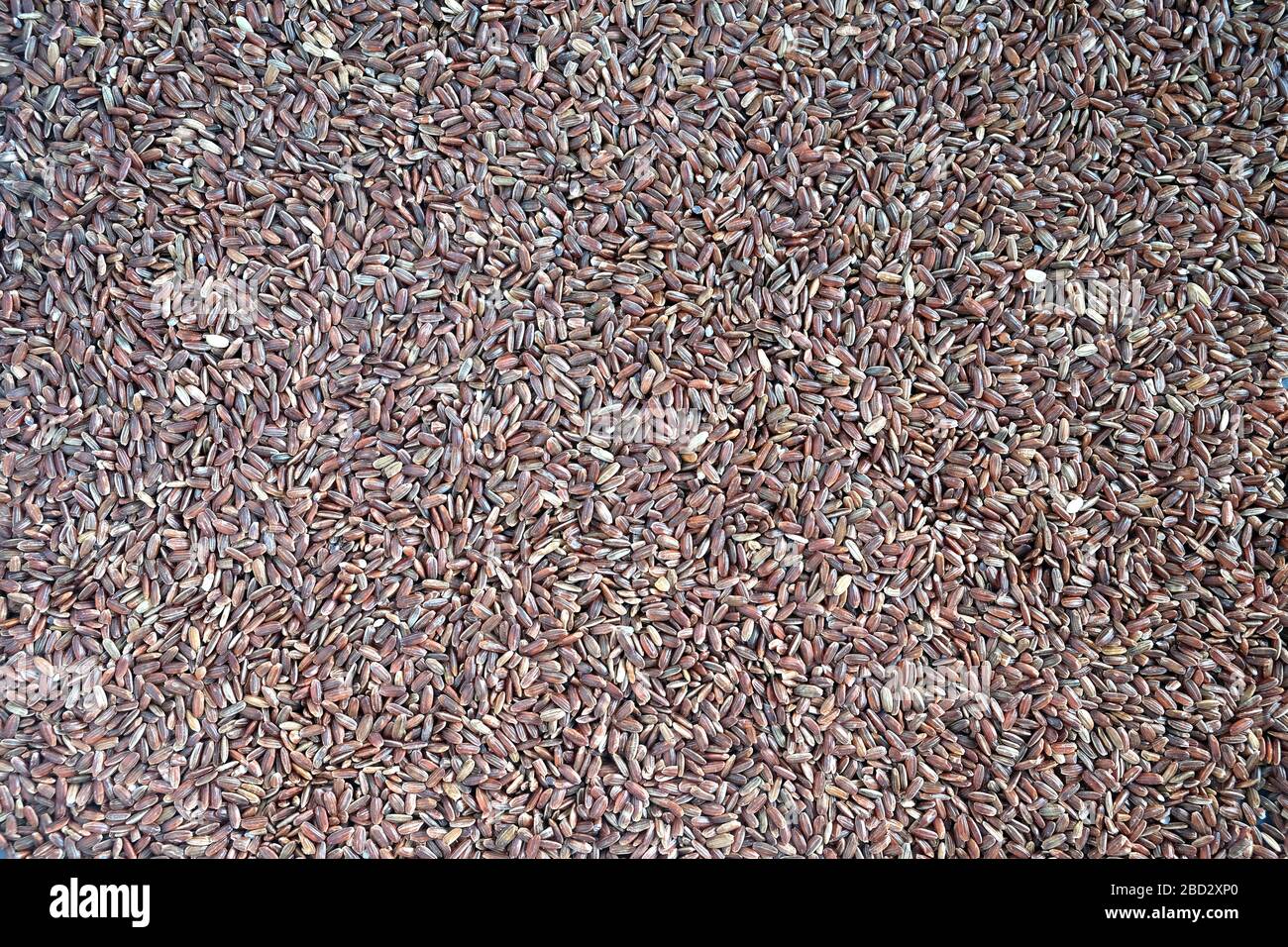 Food supplies. Crop of many dry brown rice grains on flat surface as background top view close up Stock Photo