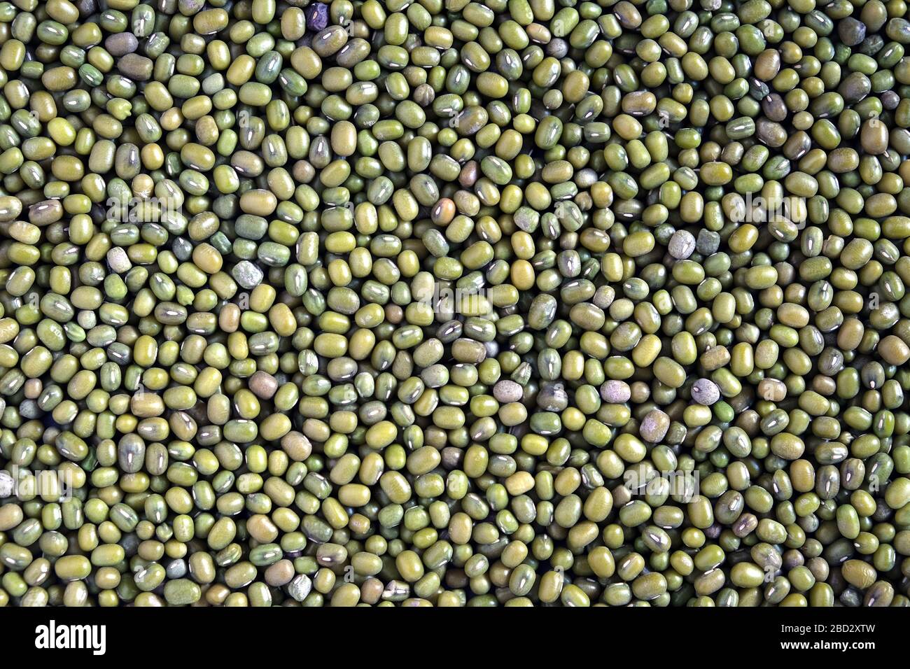Food supplies. Crop of many dry green lentil grains on flat surface as background top view close up Stock Photo