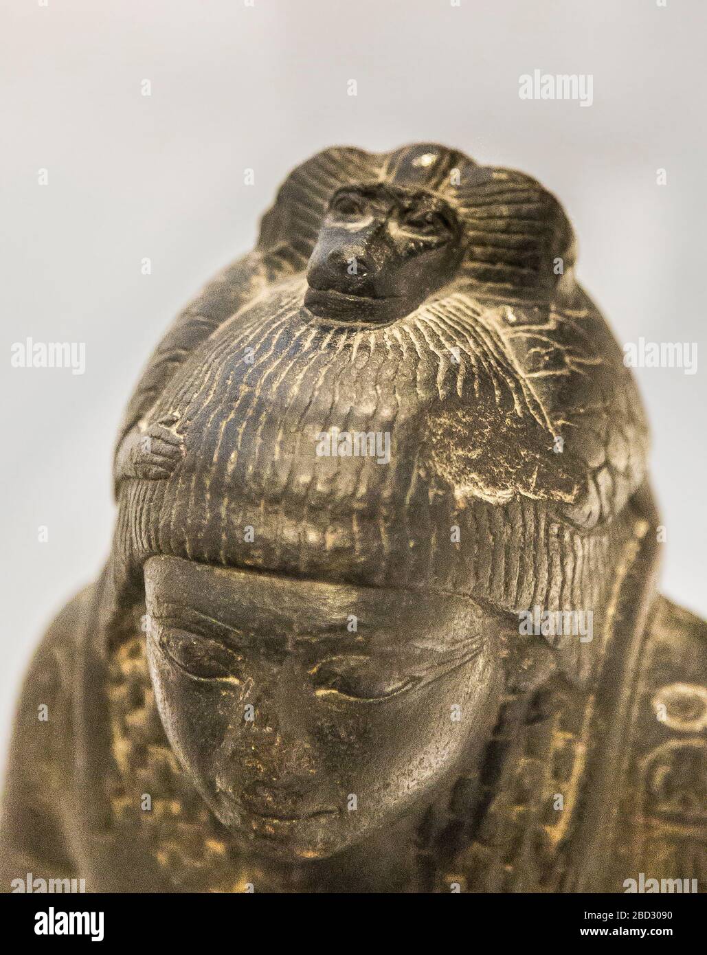Exhibition 'The animal kingdom in Ancient Egypt', Louvre-Lens museum. Statue of Yupa, with Thot as a baboon on his head. New Kingdom, Basalt, E 25398. Stock Photo