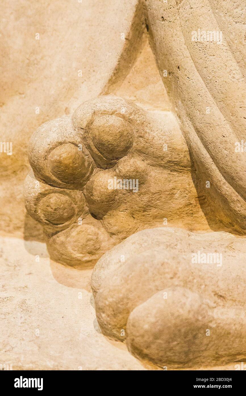 Exhibition 'The animal kingdom in Ancient Egypt', Louvre-Lens museum. Detail of a lion statue : Paws. Late Period, limestone, N 432 B. Stock Photo