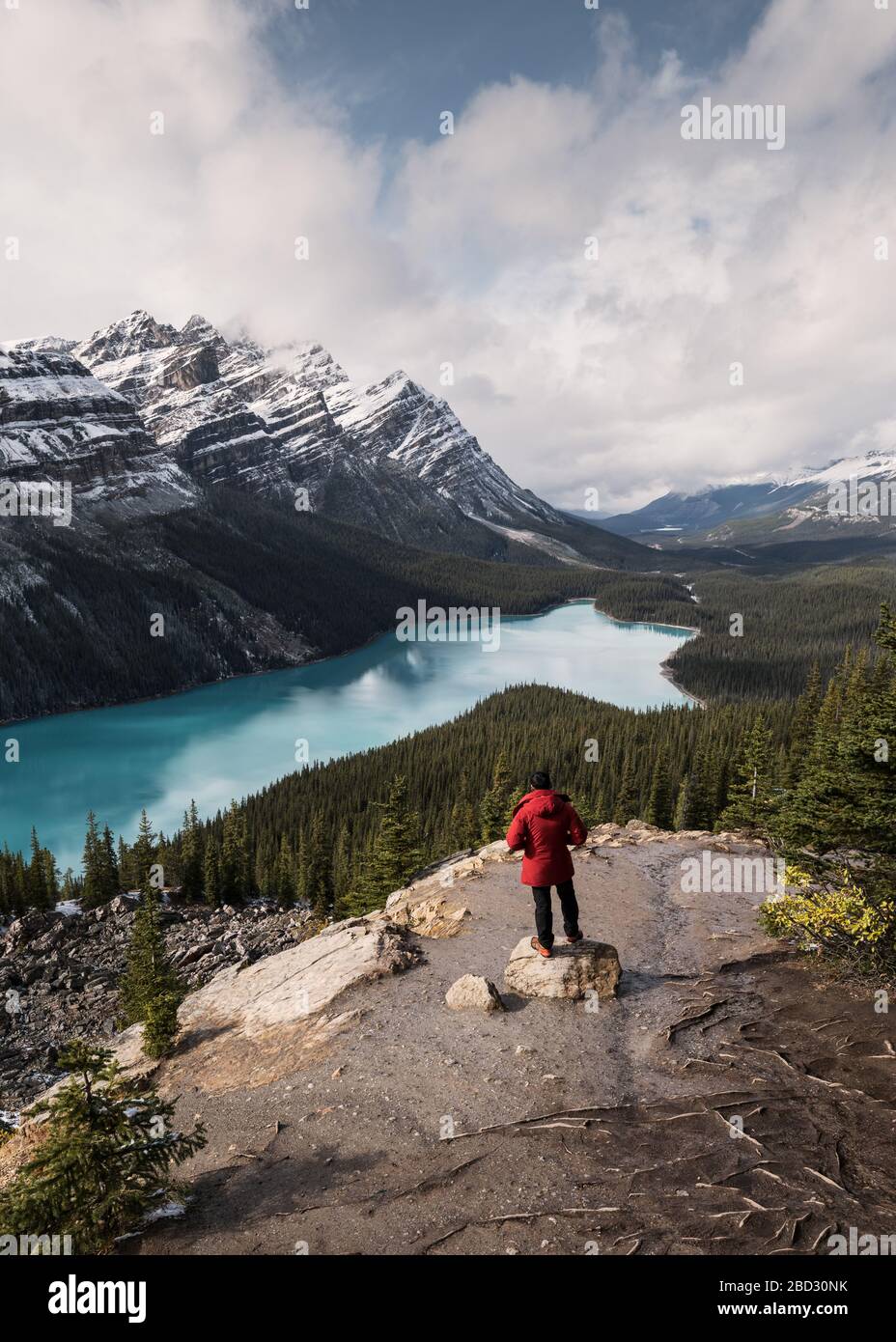 Scenery of Peyto lake resemble of fox with man traveler in Banff ...