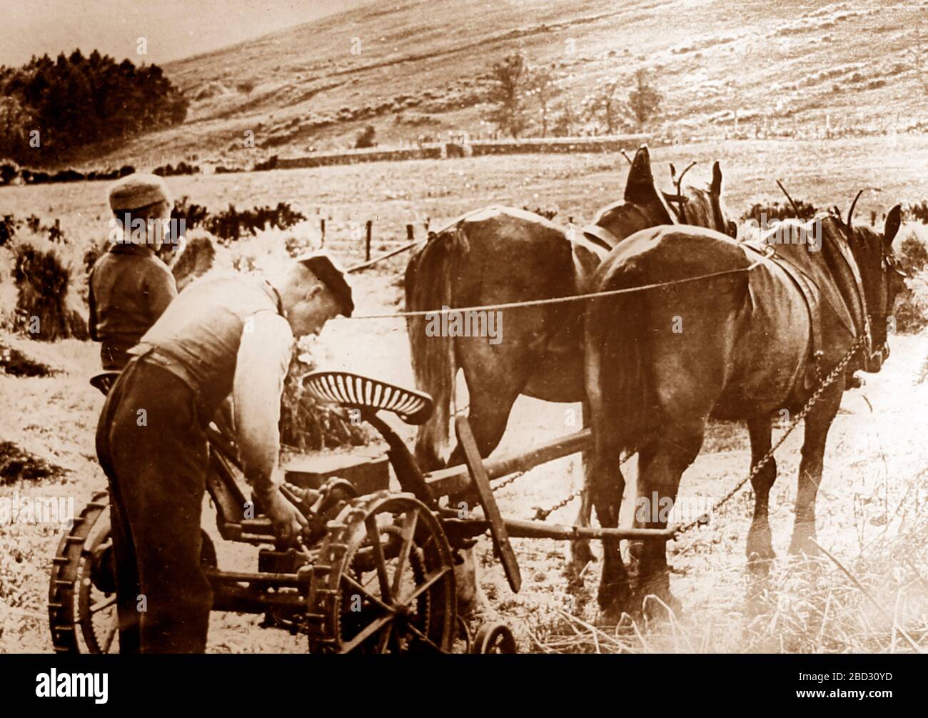 Farming in the Highlands of Scotland, early 1900s Stock Photo