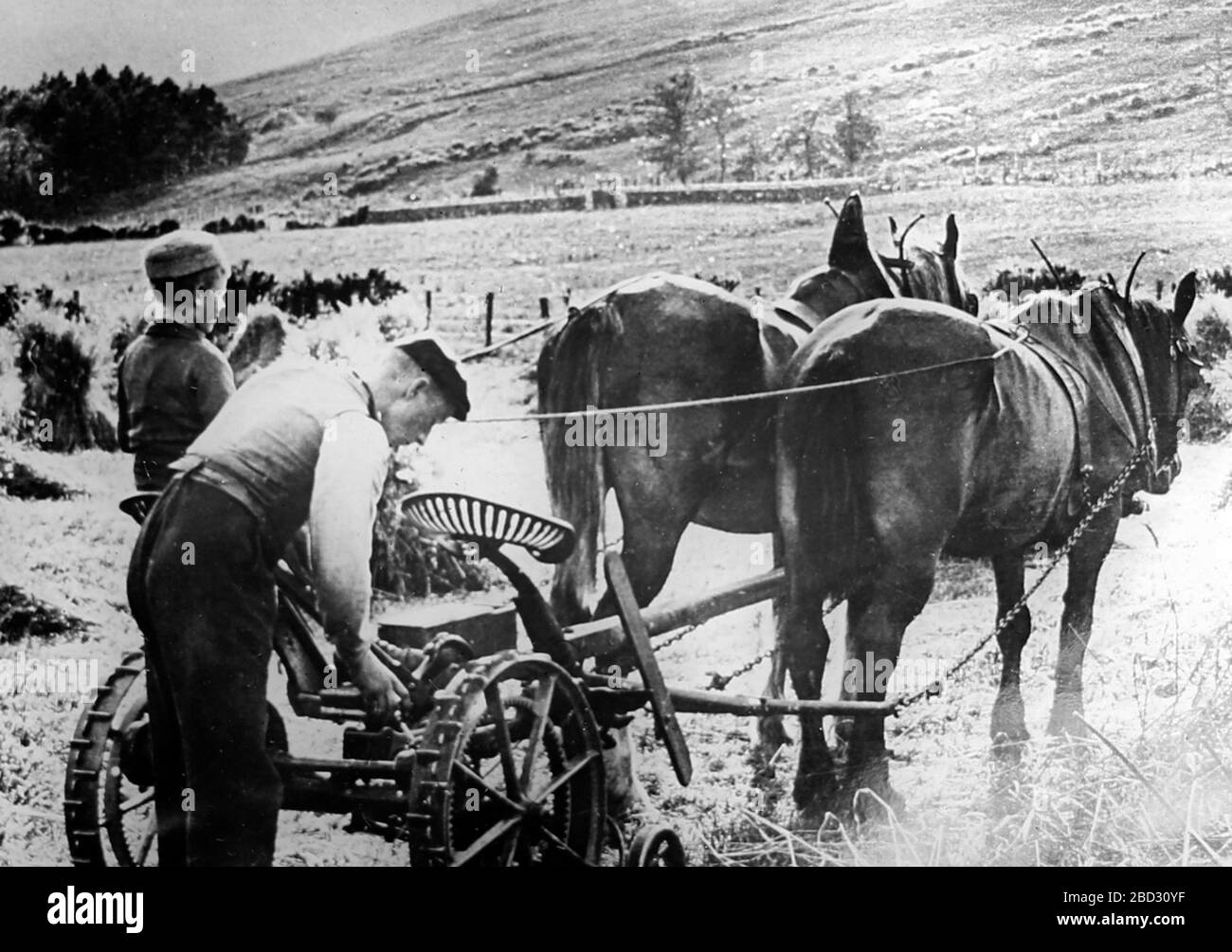 Farming in the Highlands of Scotland, early 1900s Stock Photo