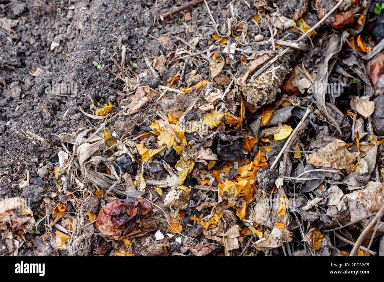 Fresh compost pile, with garden material. Recycled Food. Fertilizer. Stock Photo