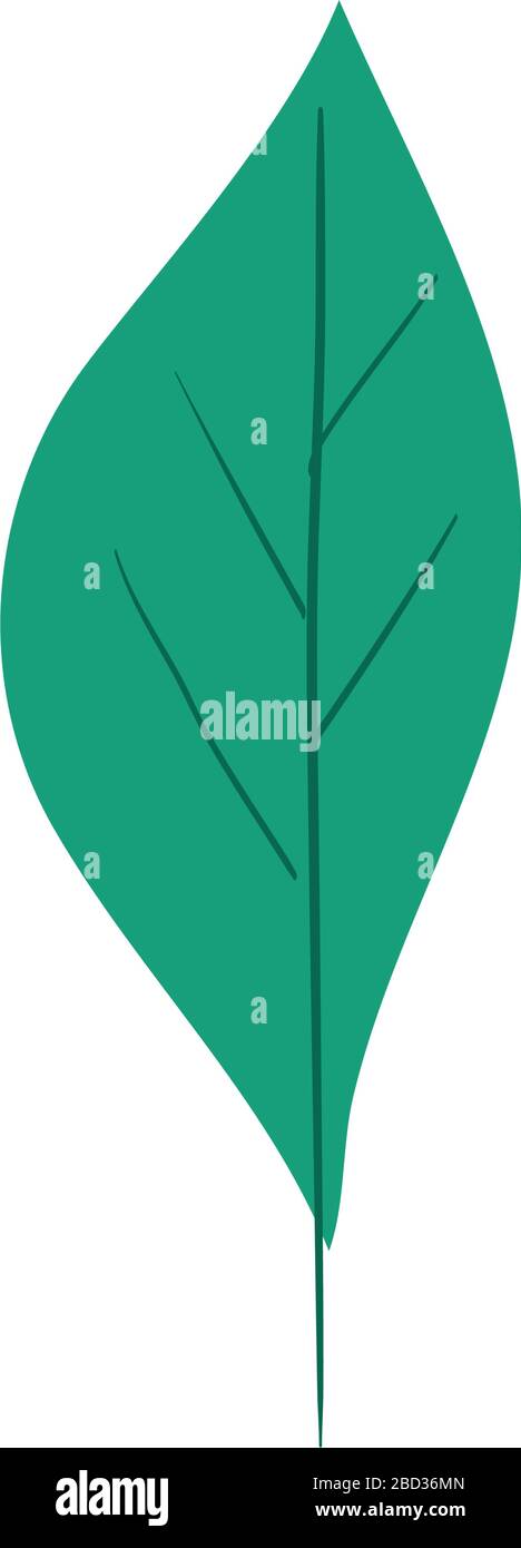 Isolated leaf icon vector design Stock Vector Image & Art - Alamy