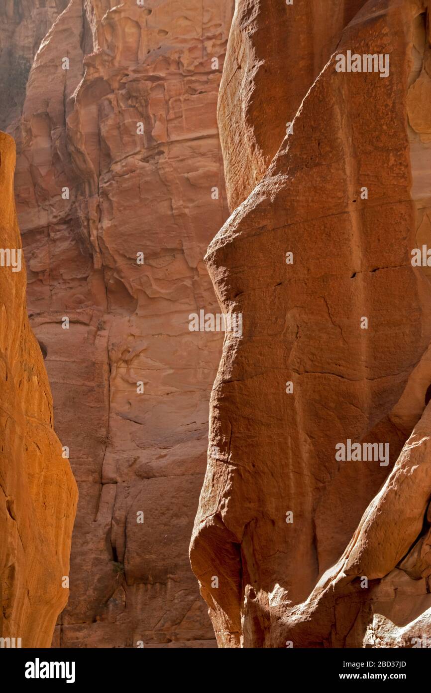 A light and shadow pattern on rocks in Petra,  a historical and archaeological city in southern Jordan Stock Photo