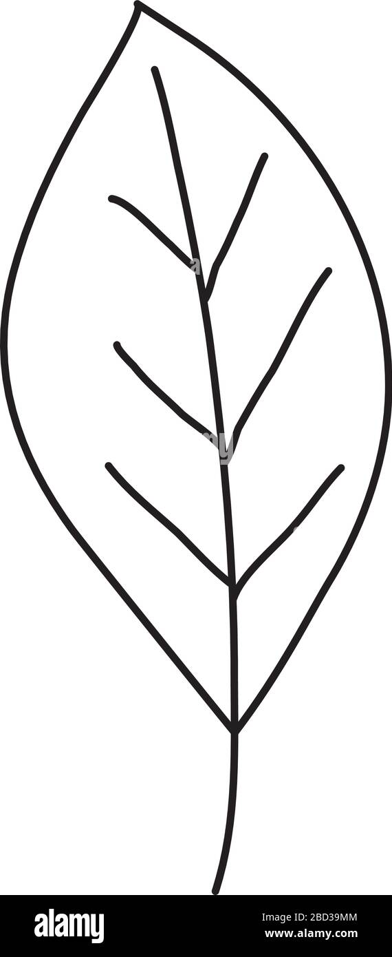 Isolated leaf icon vector design Stock Vector Image & Art - Alamy
