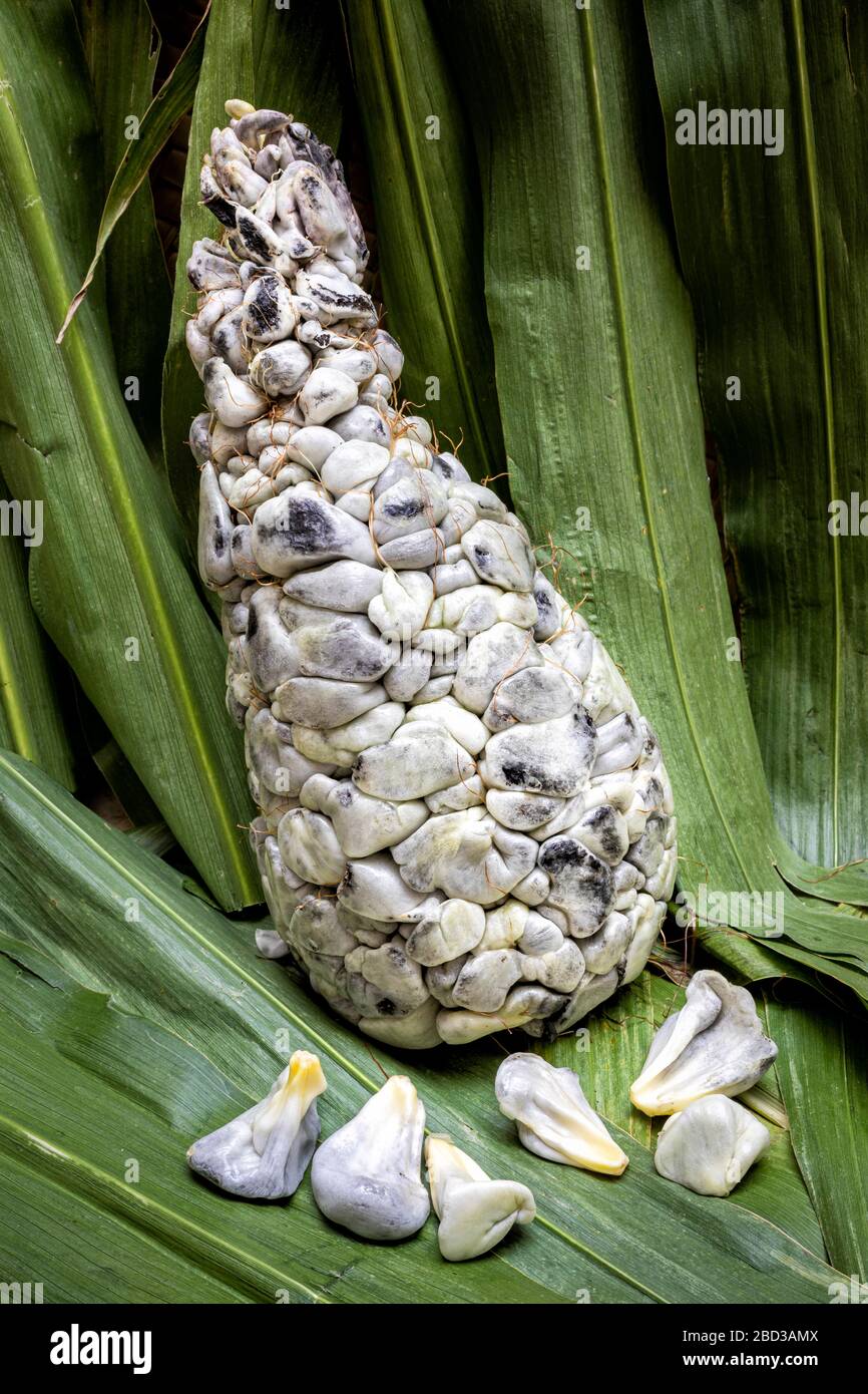 Corn fungus hires stock photography and images Alamy