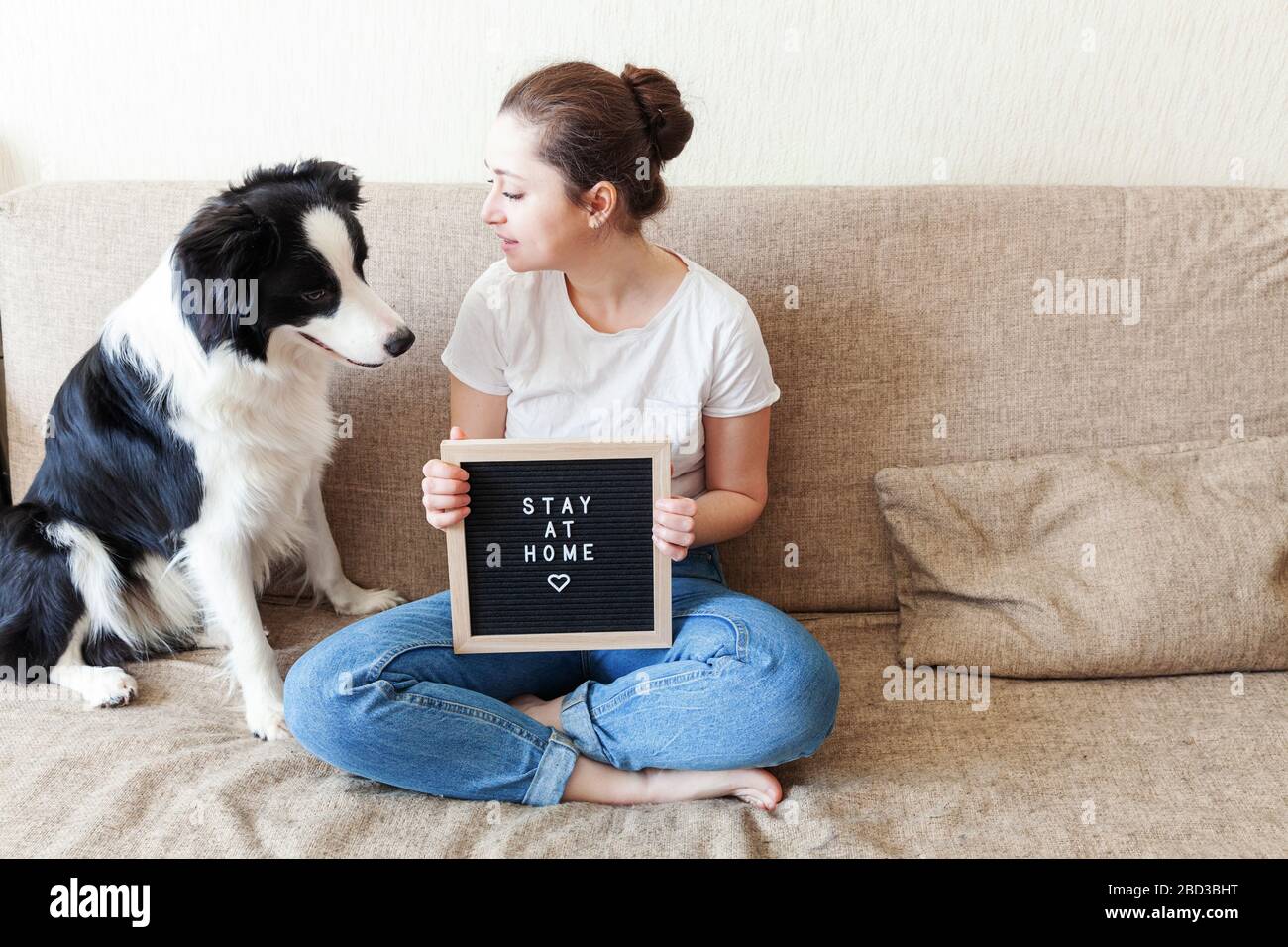 Stay Home Stay Safe Smiling Young Woman Playing With Cute Puppy Dog Border Collie On Sofa At Home Indoors Girl With Letter Board Inscription Stay At Home Pet Care Animal Life Quarantine