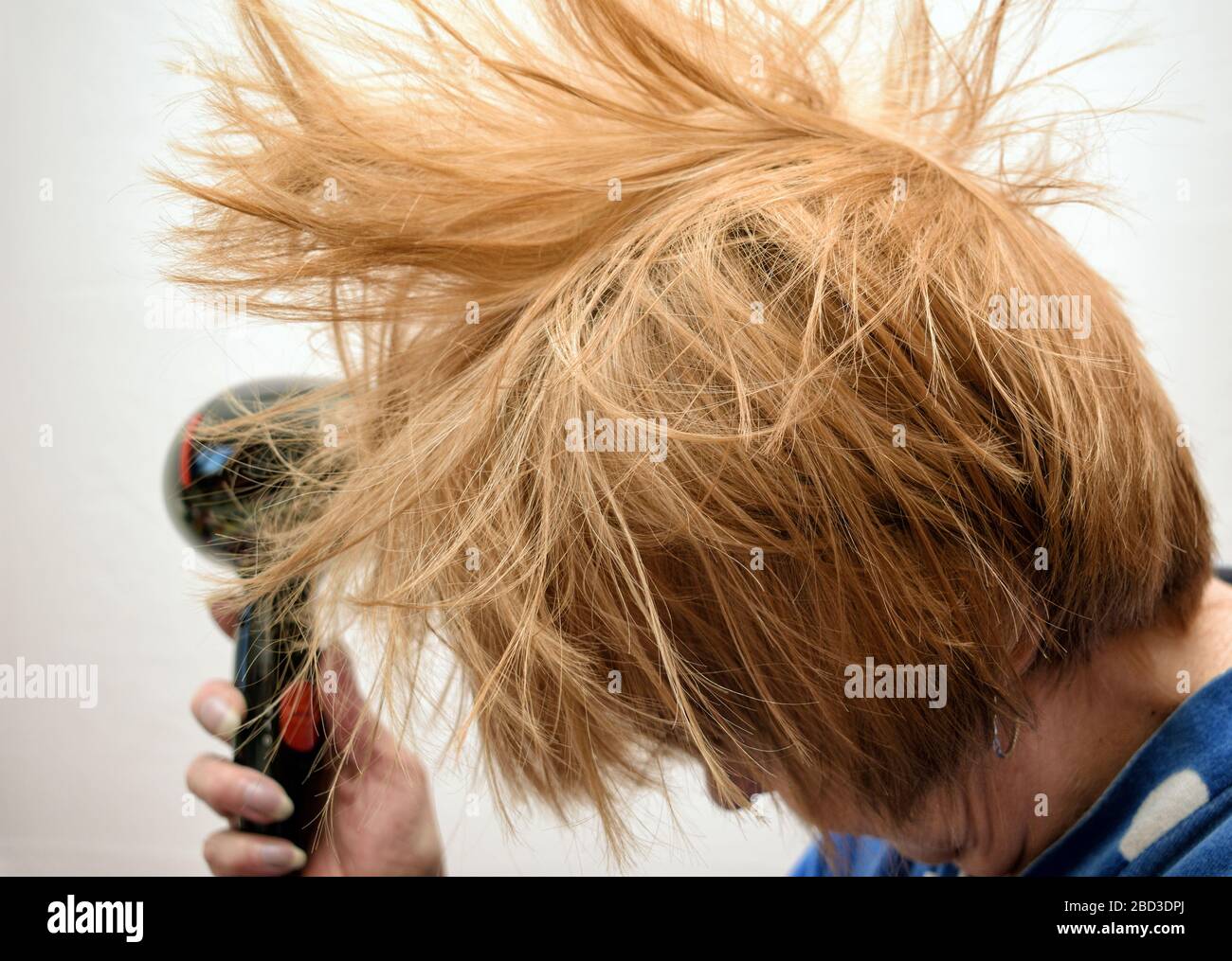 The woman washed her hair. Then she dries her hair with a hairdryer ...
