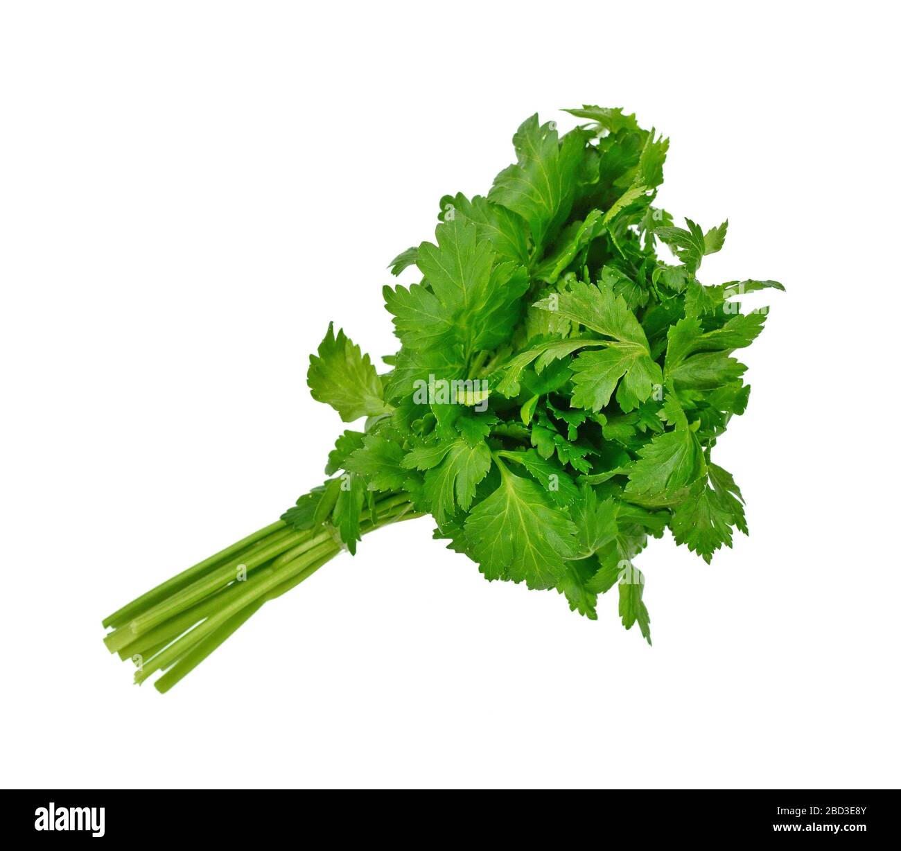 parsley bunch isolated on white background Stock Photo