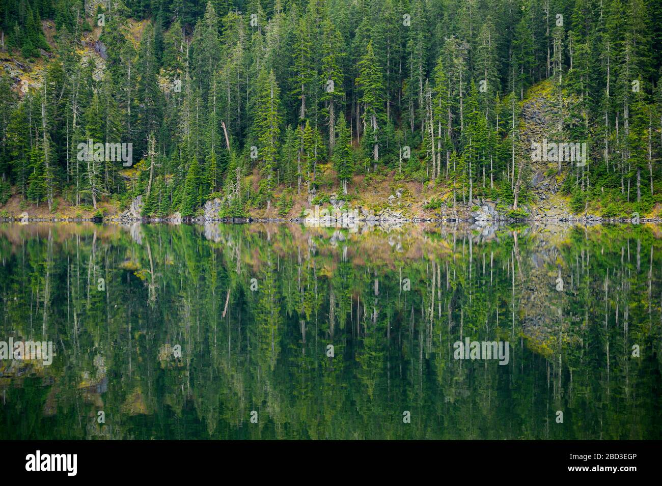 Lake reflecting fall trees hi-res stock photography and images - Alamy