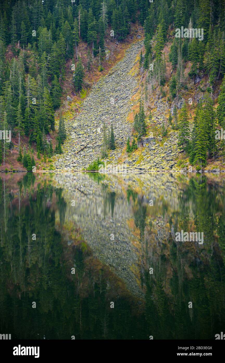 Evergreen trees reflecting lake hi-res stock photography and images - Alamy