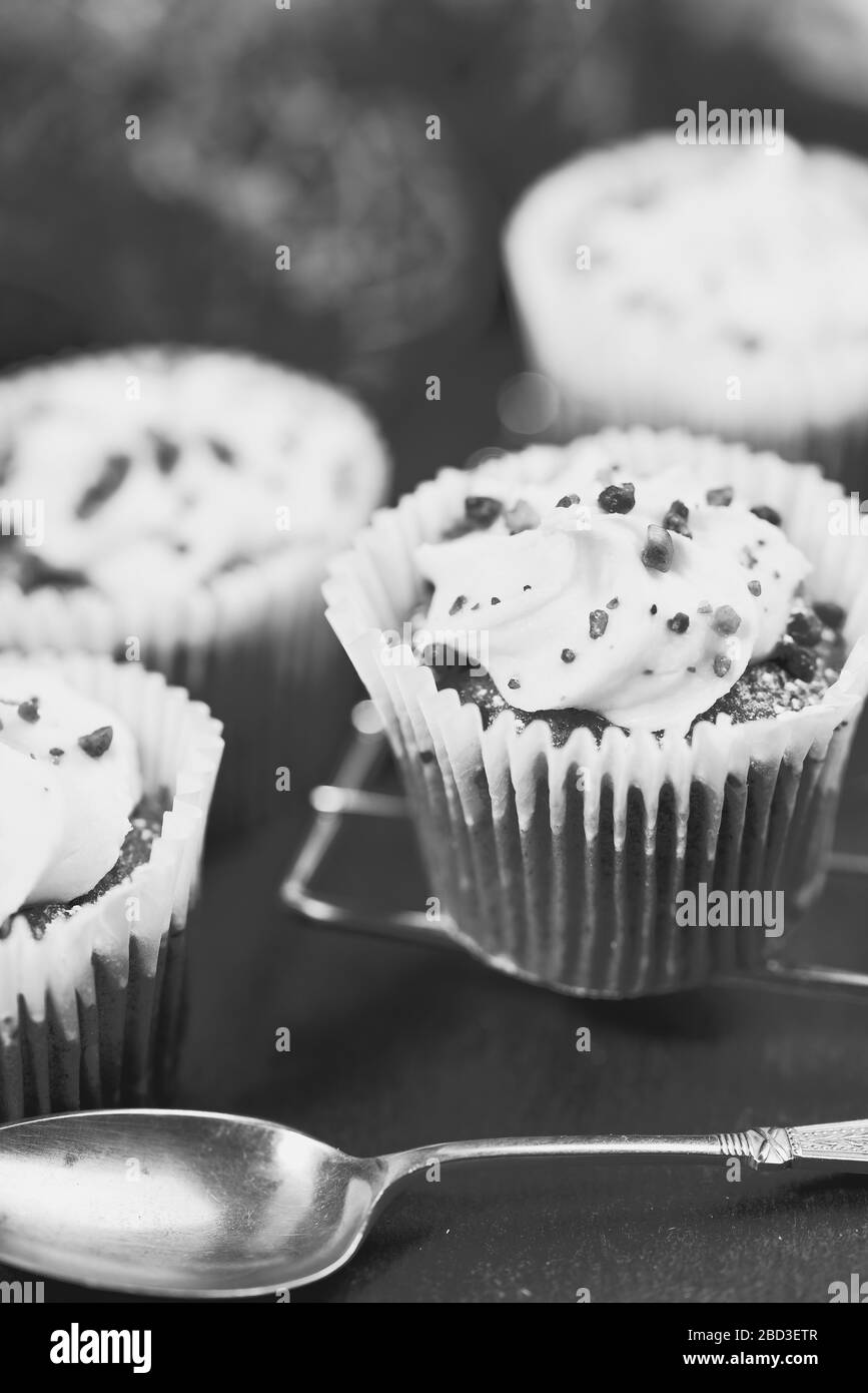 Homemade Carrot Cupcakes with Cream Cheese Frosting. Vegetable, muffins. Black and white Stock Photo