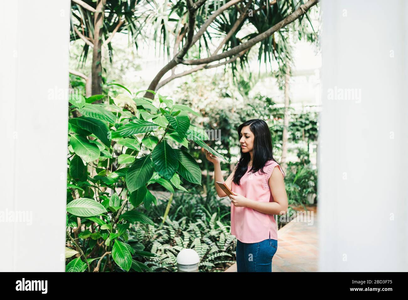 beautiful agronomical engineerr taking notes in the greenhouse Stock Photo
