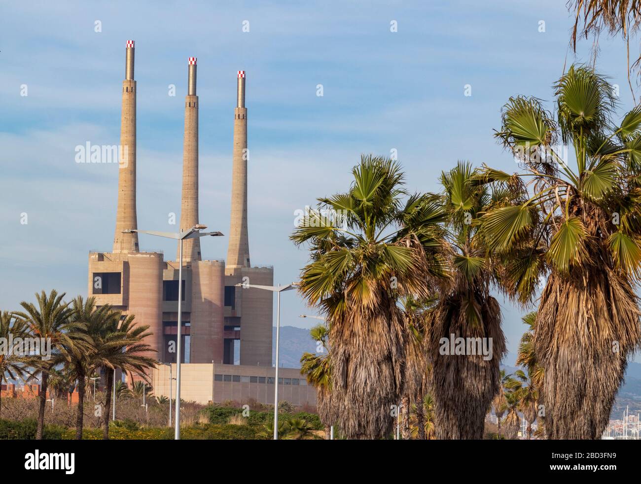 Factories, palm trees and graffiti in front in the middle of the city Stock Photo