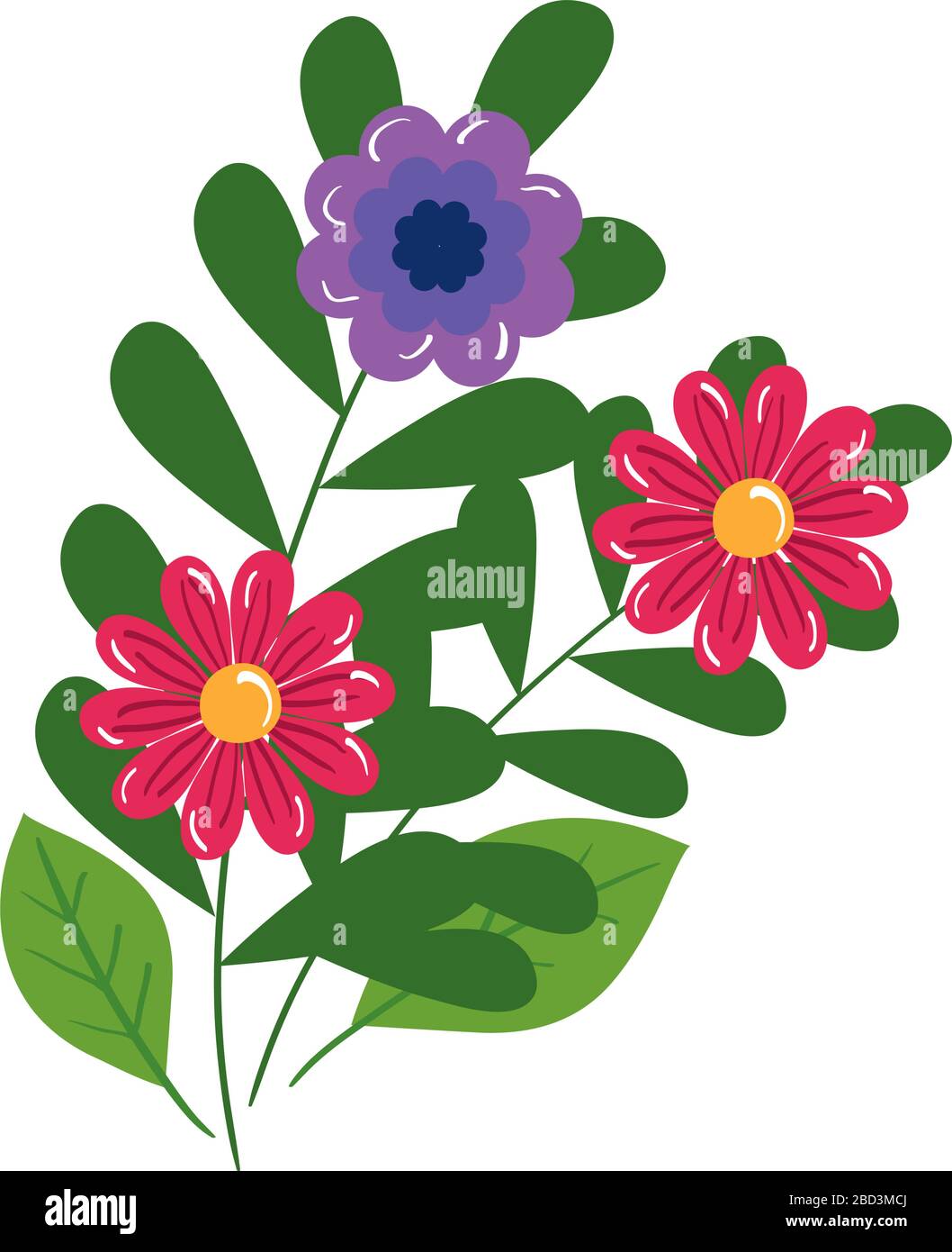 Isolated flowers with leaves vector design Stock Vector Image & Art - Alamy