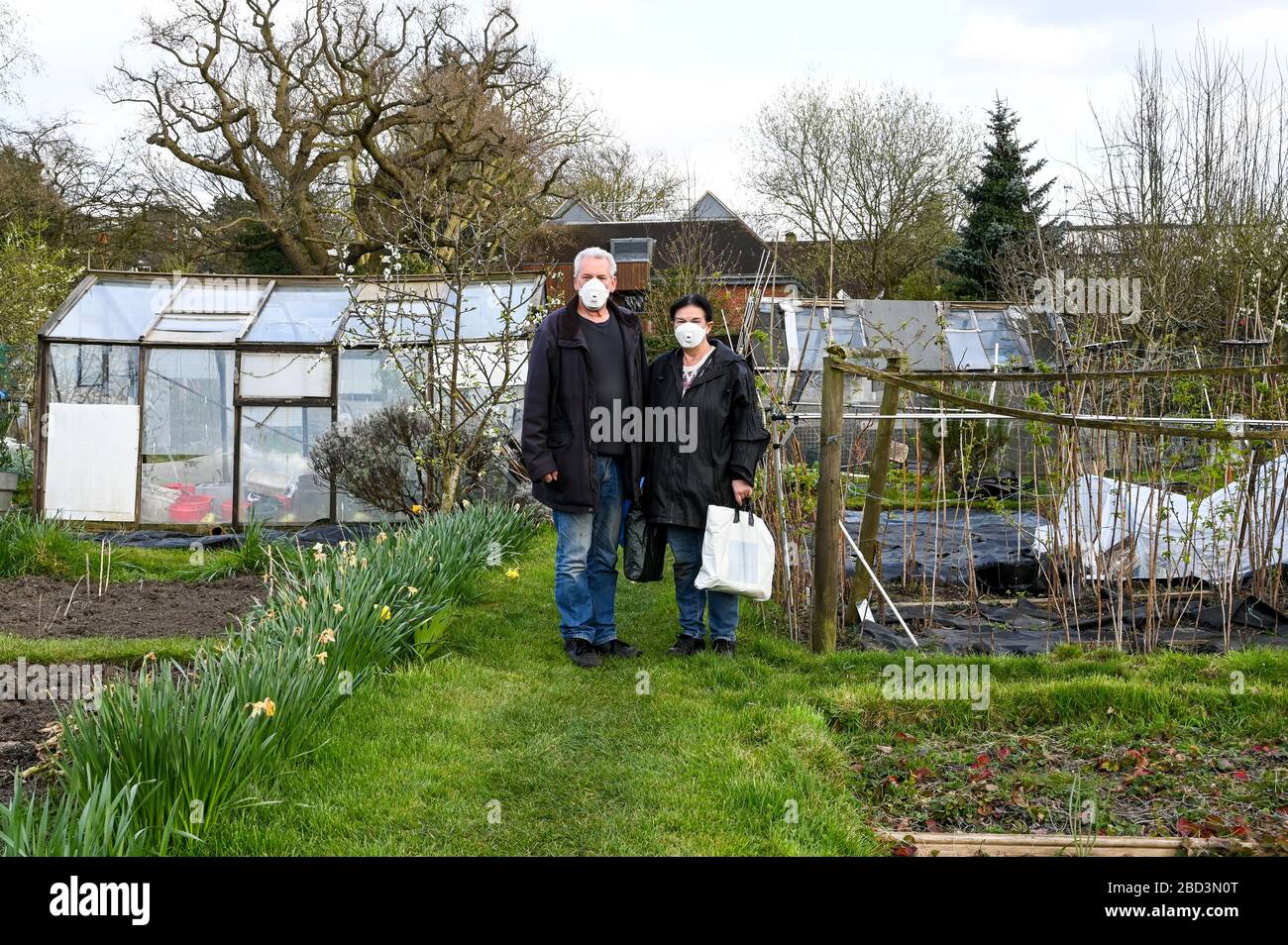 An older married couple wear masks when arriving at an allotment garden during the covid-19 coronavirus pandemic. Stock Photo