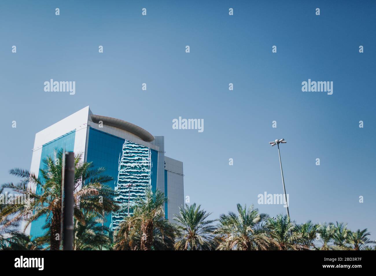Sky and palm trees. Saudi Arabia Riyadh landscape - Riyadh Stock Photo