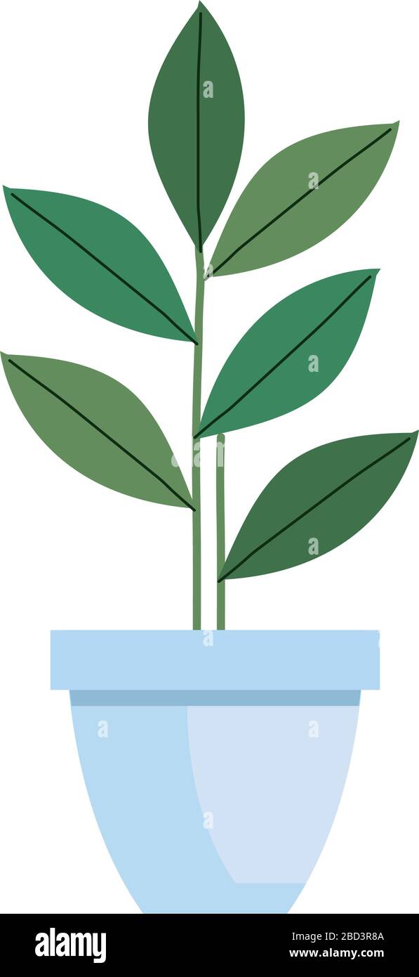 plant in house pot isolated icon Stock Vector Image & Art - Alamy