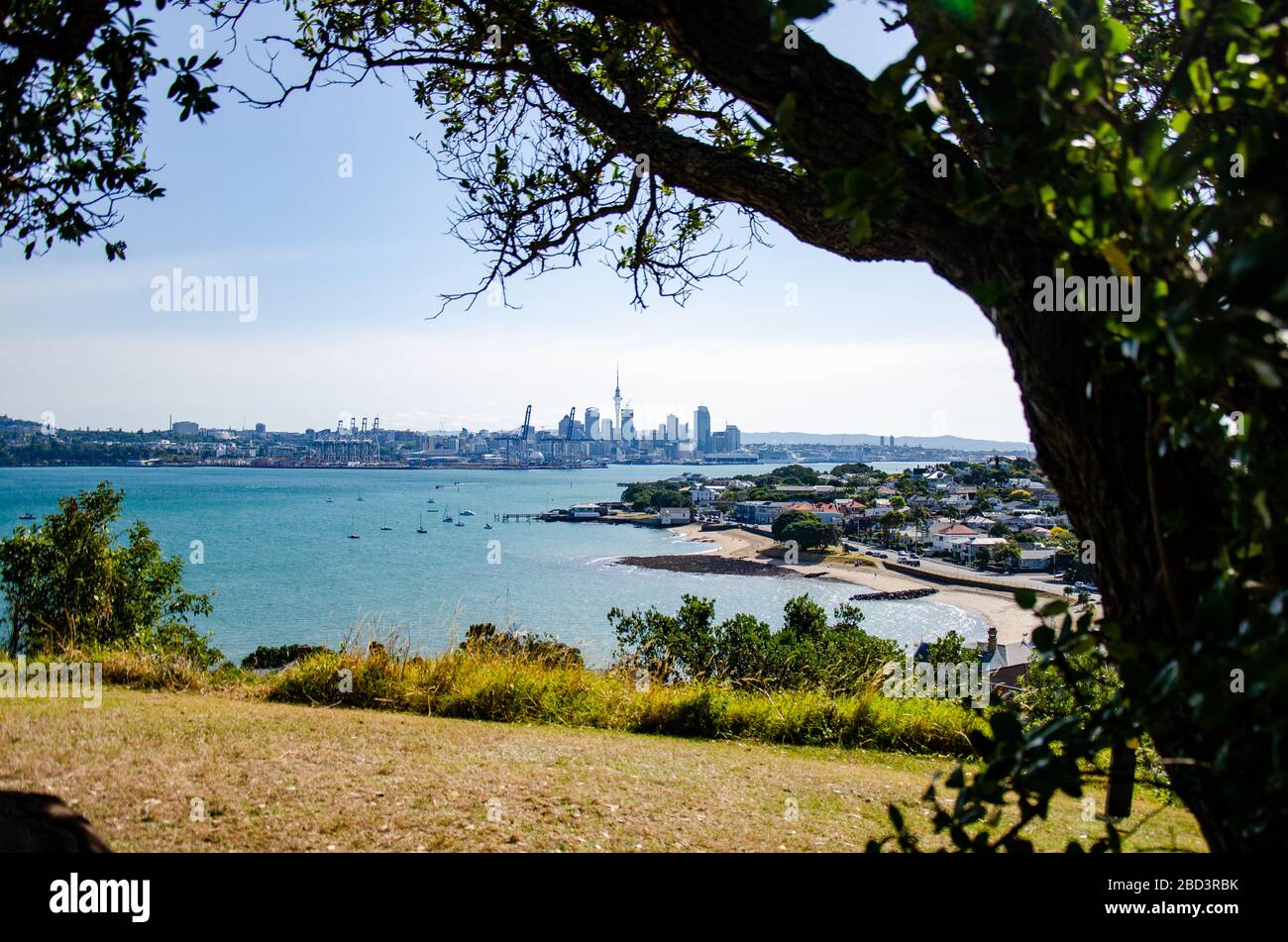 View of Auckland from Devonport Stock Photo
