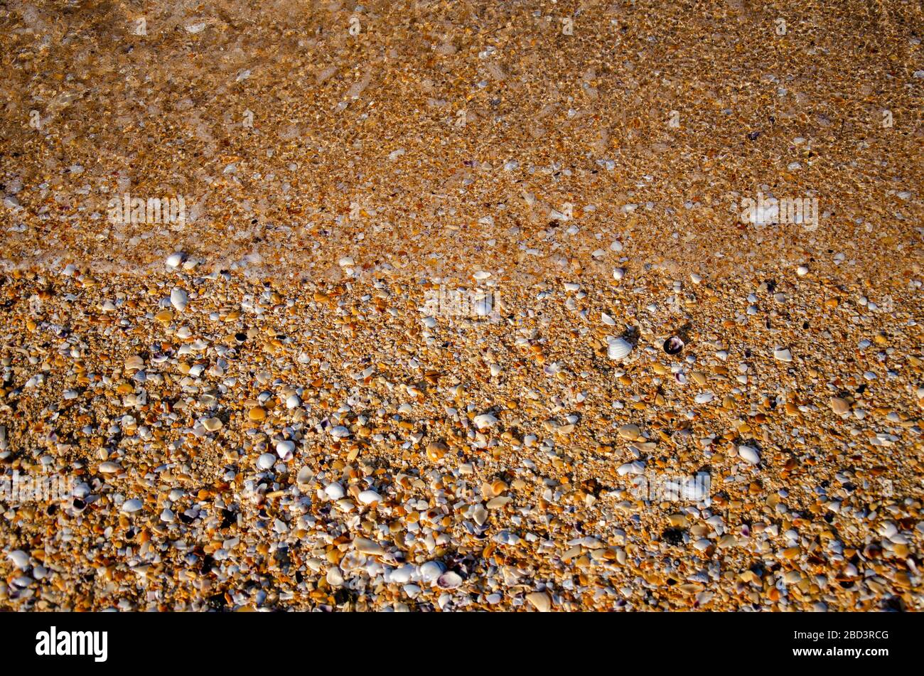Sandy beach in Devonport, Auckland Stock Photo