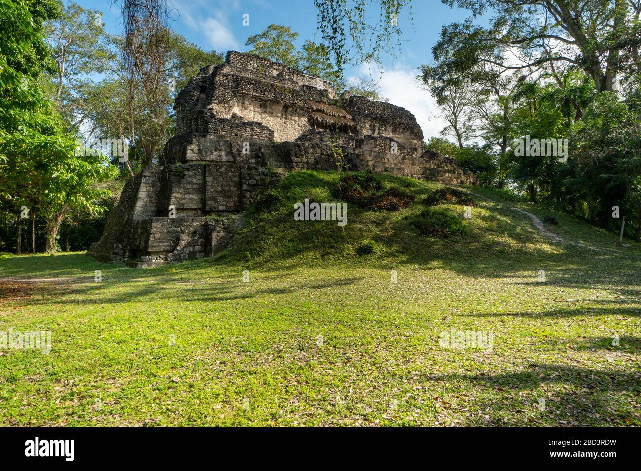 Mayan pyramids in the jungle of Petén in Uxactún, Guatemala Stock Photo