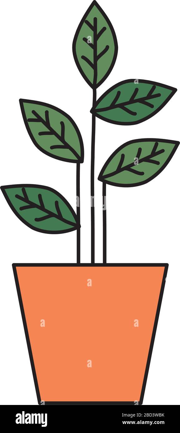 plant in house pot isolated icon Stock Vector Image & Art - Alamy