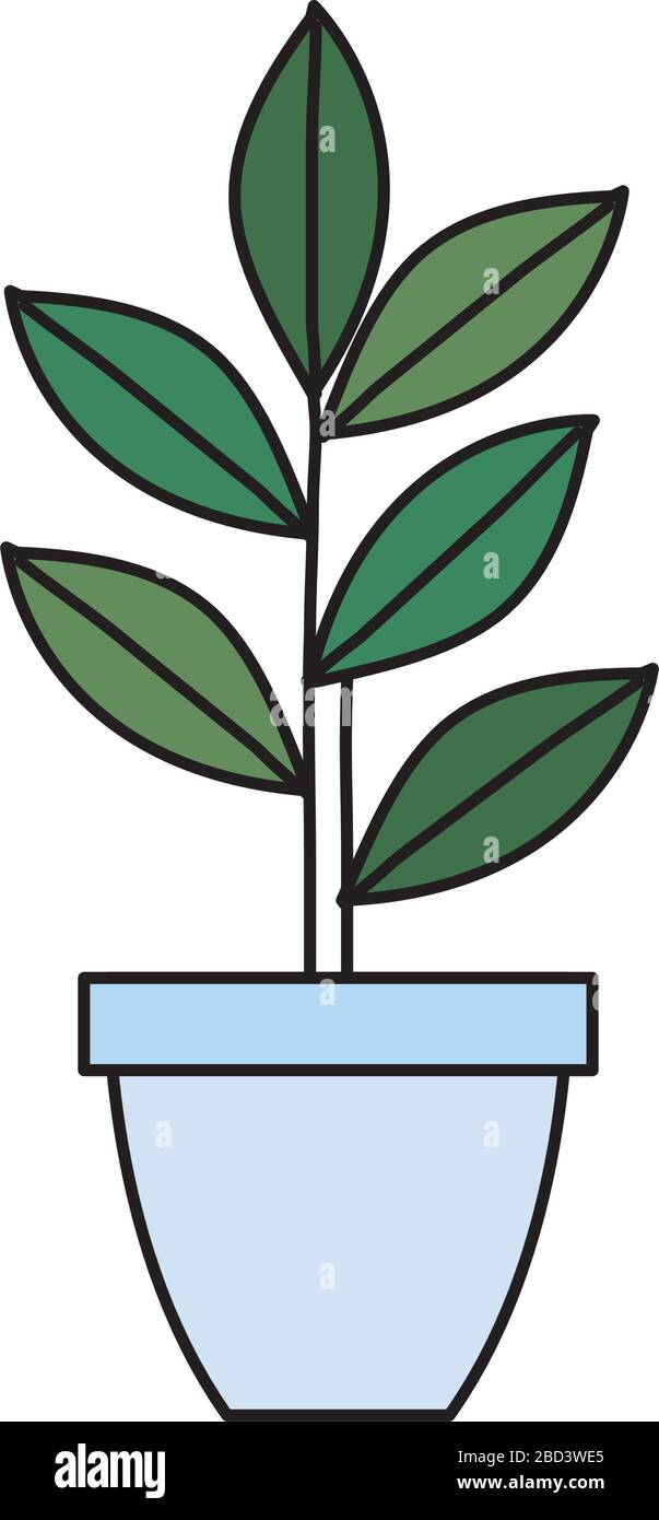 plant in house pot isolated icon Stock Vector Image & Art - Alamy