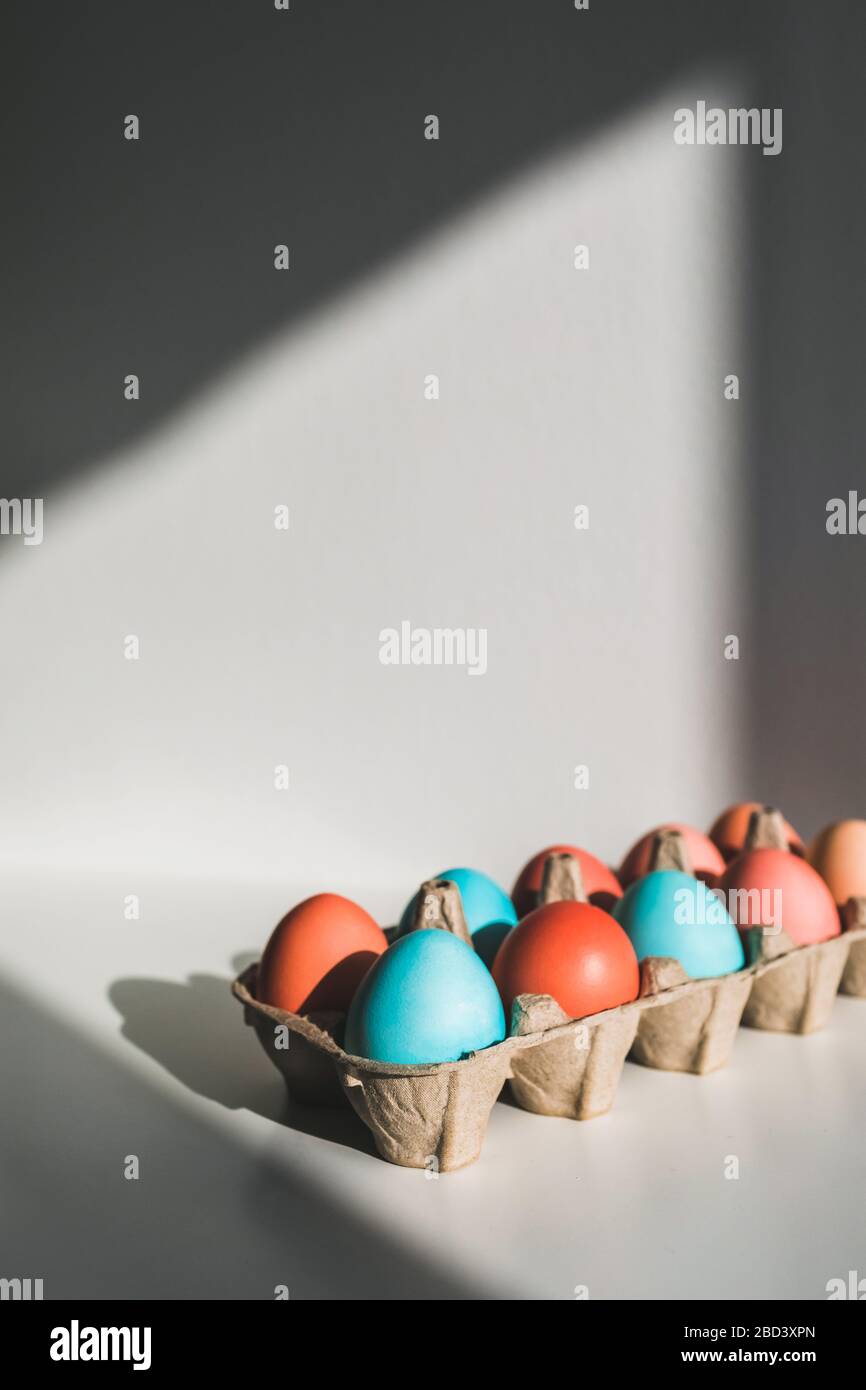 Carton box with painted blue and red chicken eggs for easter. White table and beautiful sun light. Paschal concept. Stock Photo