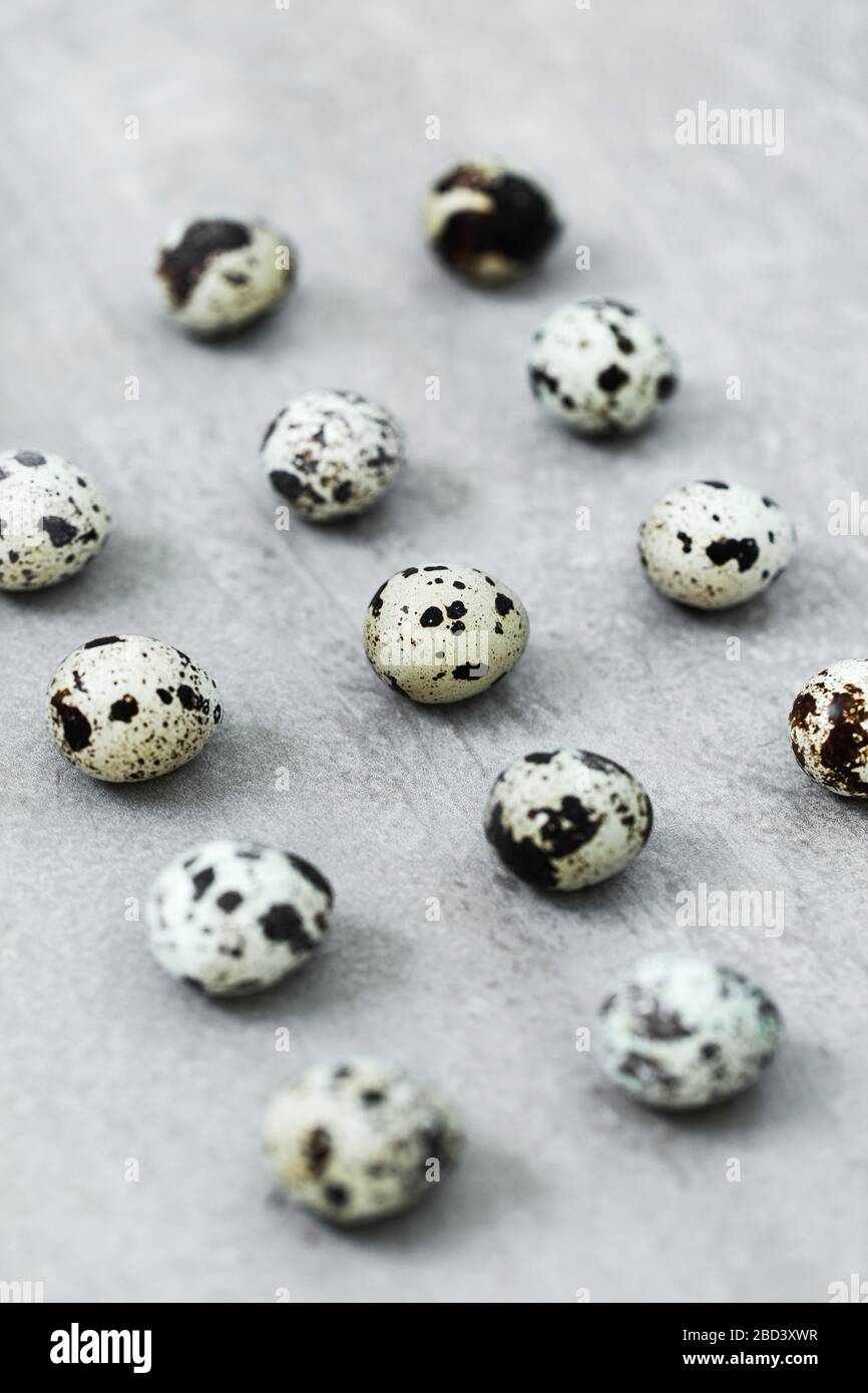 Many quail eggs on gray concrete background. Easter texture and paschal concept. Stock Photo