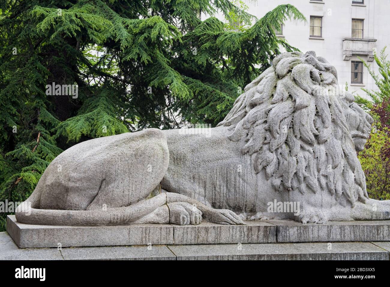 Lion outside Vancouver Art Gallery, Vancouver, British Columbia, Canada, North America Stock Photo