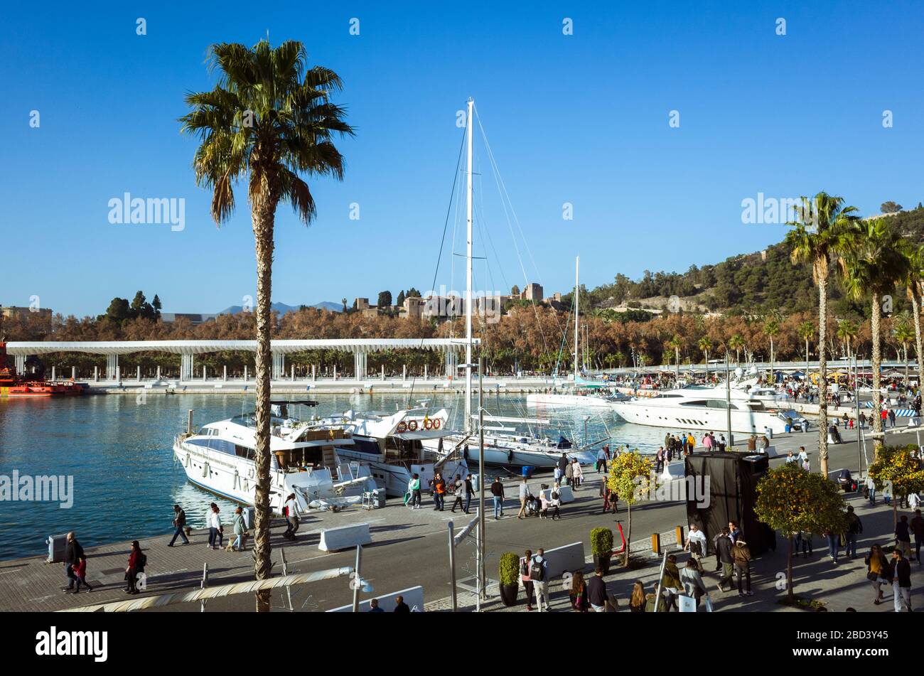 Malaga, Spain : Boats moored at the Marina of Malaga. Alcazaba in background. Stock Photo
