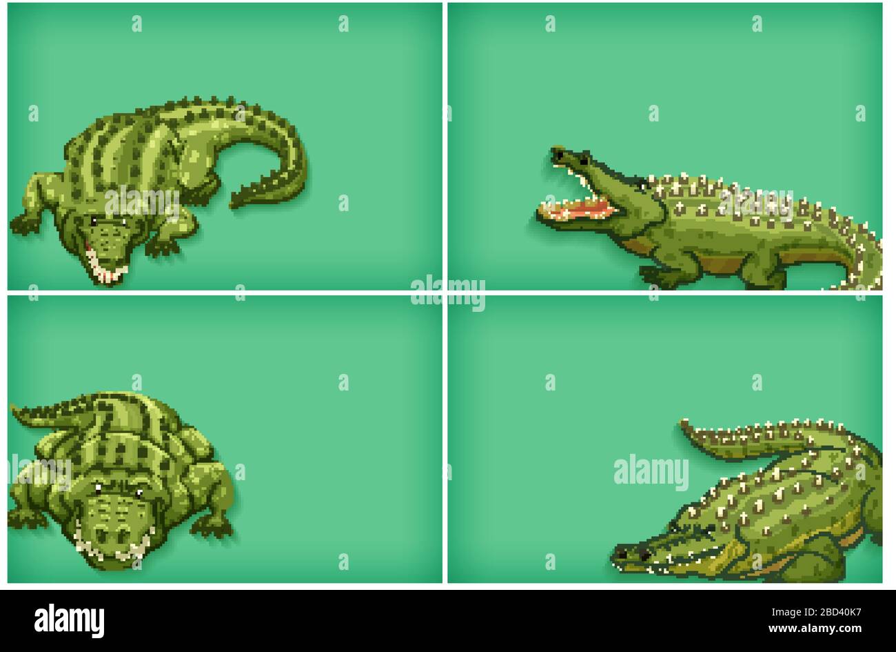 Background template design with plain color and crocodiles illustration ...