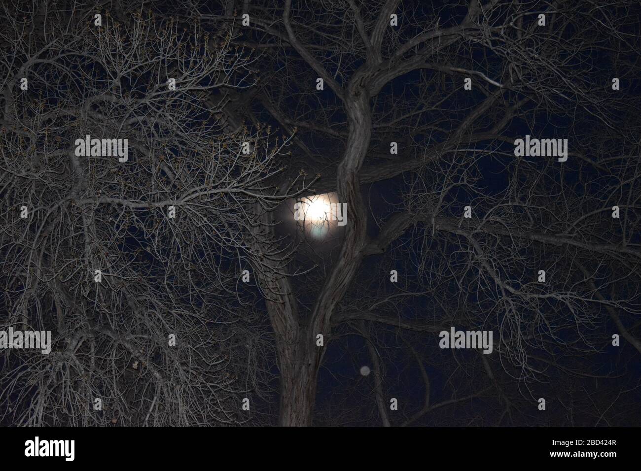 Kirtland New Mexico full moon Stock Photo Alamy